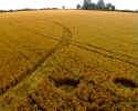 Whidcombe Brake, Somerset crop circle, aerial photo 5