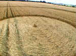 Crop Art at Witcomb Farm, Wiltshire crop circle, aerial photo 7