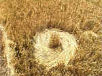 Crop Art at Witcomb Farm, Wiltshire crop circle, aerial photo 5