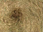 Crop Art at Witcomb Farm, Wiltshire crop circle, aerial photo 8