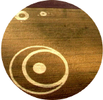 witcomb2001a.gif (103718 bytes)