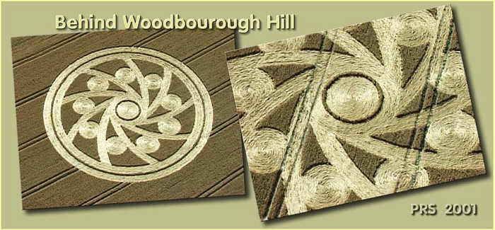 Woodborough Hill (2), Wiltshire crop circle, aerial photo 9