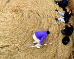 Woodborough Hill (2), Wiltshire crop circle, aerial photo 7