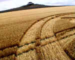 Woodborough Hill (2), Wiltshire crop circle, aerial photo 5