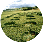 Canningscross06.gif (118837 bytes)