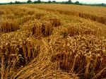 Chilbolton (1), Hampshire crop circle, aerial photo 9