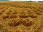 Chilbolton (1), Hampshire crop circle, aerial photo 5