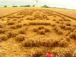 Chilbolton (2), Hampshire crop circle, aerial photo 11