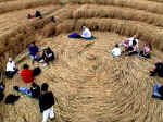 East Field, Wiltshire crop circle, aerial photo 13