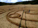 East Field, Wiltshire crop circle, aerial photo 9