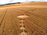 East Field, Wiltshire crop circle, aerial photo 11
