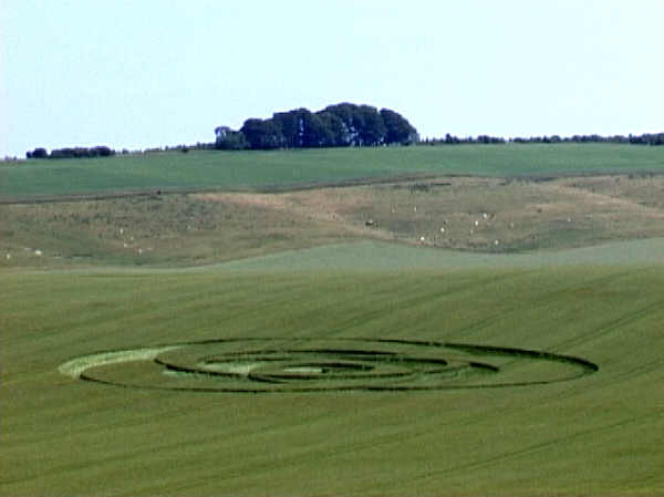 Folly Barn, Wiltshire crop circle, aerial photo 7