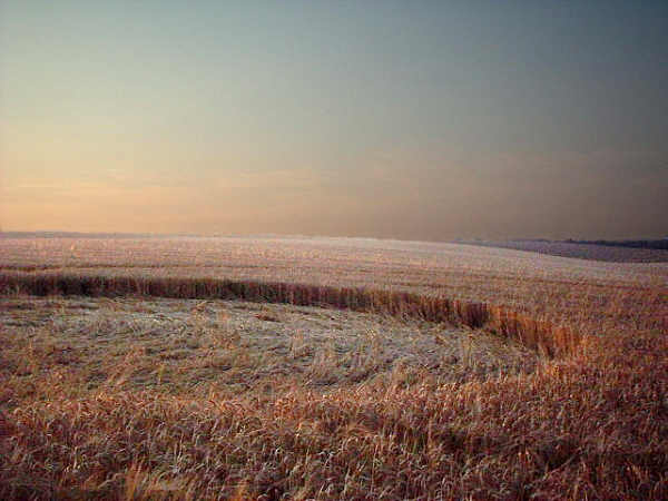 Hollingbury, Sussex crop circle, aerial photo 3