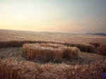 Hollingbury, Sussex crop circle, aerial photo 4