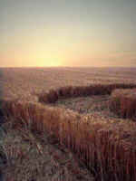 Hollingbury, Sussex crop circle, aerial photo 10