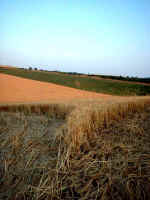 Hollingbury, Sussex crop circle, aerial photo 11