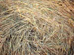 Hollingbury, Sussex crop circle, aerial photo 9