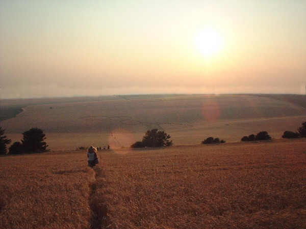 Hollingbury, Sussex crop circle, aerial photo 12