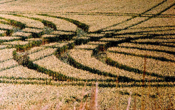 kexbrough, Yorkshire crop circle, aerial photo 6