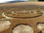 Knap Hill, Wiltshire crop circle, aerial photo 5