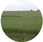 norwich2001a.gif (36422 bytes)