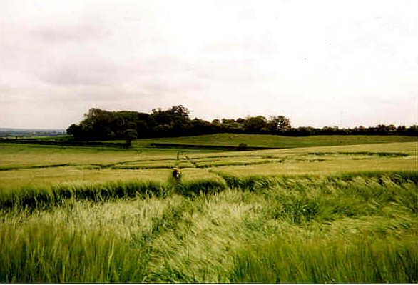 Pegsdon, Hertfordshire crop circle, aerial photo 4
