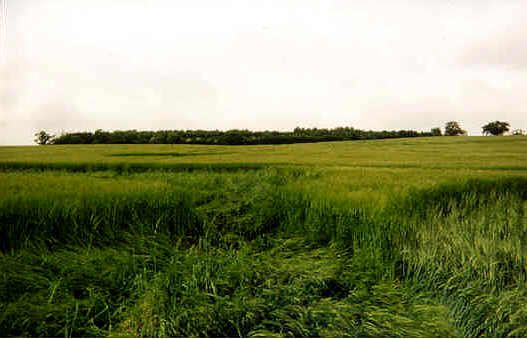 Pegsdon, Hertfordshire crop circle, aerial photo 6