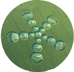 West Down, Wiltshire crop circle, aerial photo 3