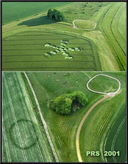 West Down, Wiltshire crop circle, aerial photo 11