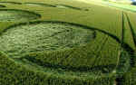 West Down, Wiltshire crop circle, aerial photo 7