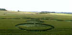West Down, Wiltshire crop circle, aerial photo 4