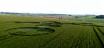 West Down, Wiltshire crop circle, aerial photo 9