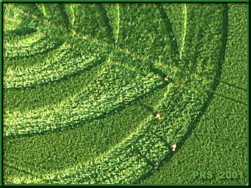 West Down, Wiltshire crop circle, aerial photo 18