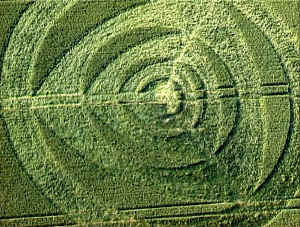 West Down, Wiltshire crop circle, aerial photo 15