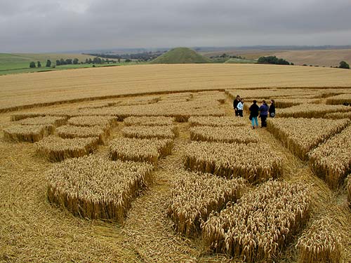 Beckhampton, Wiltshire crop circle, aerial photo 2