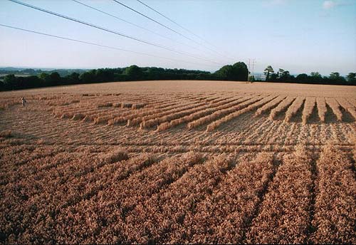 Crabwood Farm House, Hampshire crop circle, aerial photo 8
