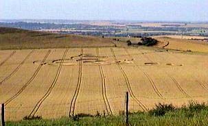 Ivinghoe Beacon, Buckinghamshire crop circle, aerial photo 4