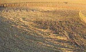Ivinghoe Beacon, Buckinghamshire crop circle, aerial photo 5