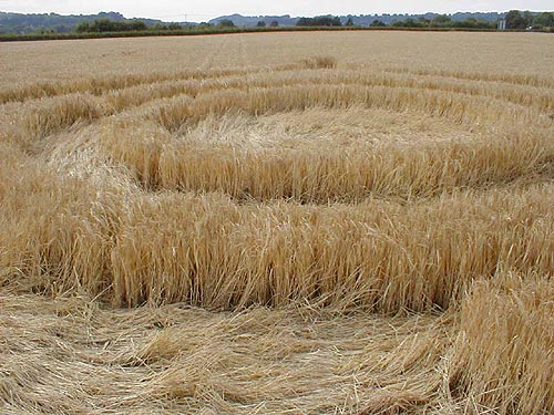 Liss, Hampshire crop circle, aerial photo 3