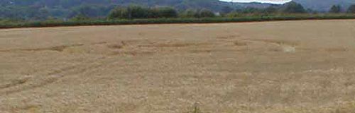 Liss, Hampshire crop circle, aerial photo 4