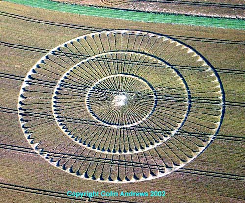 The Gallops, Wiltshire crop circle, aerial photo 4