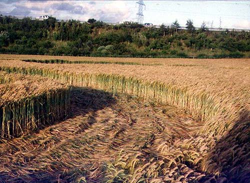 Cathill, Yorkshire crop circle, aerial photo 6