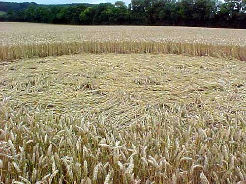 Charing, Kent crop circle, aerial photo 2