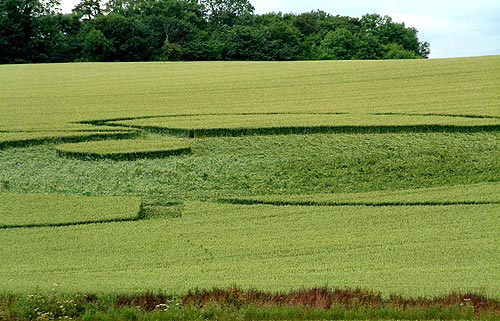 Low Hangbank, North Yourkshire crop circle, aerial photo 5