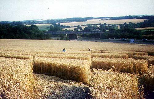 Gilroyd, Yorkshire crop circle, aerial photo 2