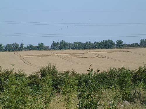 Layer de la Haye, Essex crop circle, aerial photo 2