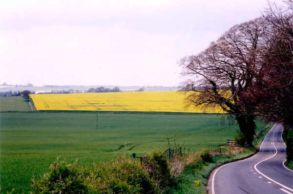 Long Road, Hampshire crop circle, aerial photo 4