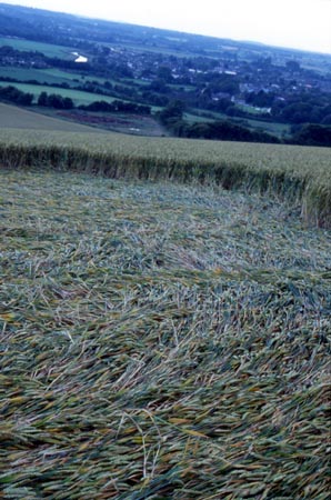 Upper Beeding, Sussex crop circle, aerial photo 13