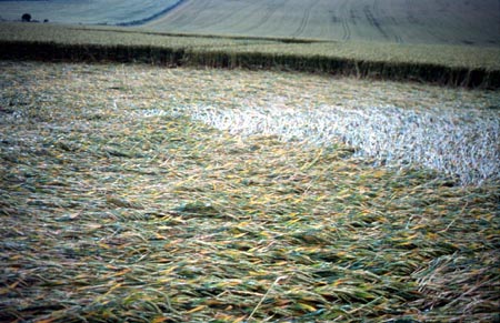 Upper Beeding, Sussex crop circle, aerial photo 14