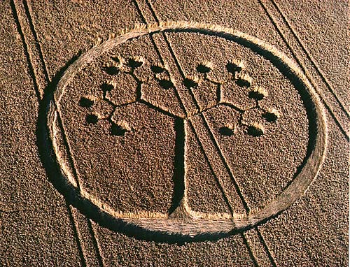 Crabwood Farm House, Hampshire crop circle, aerial photo 16